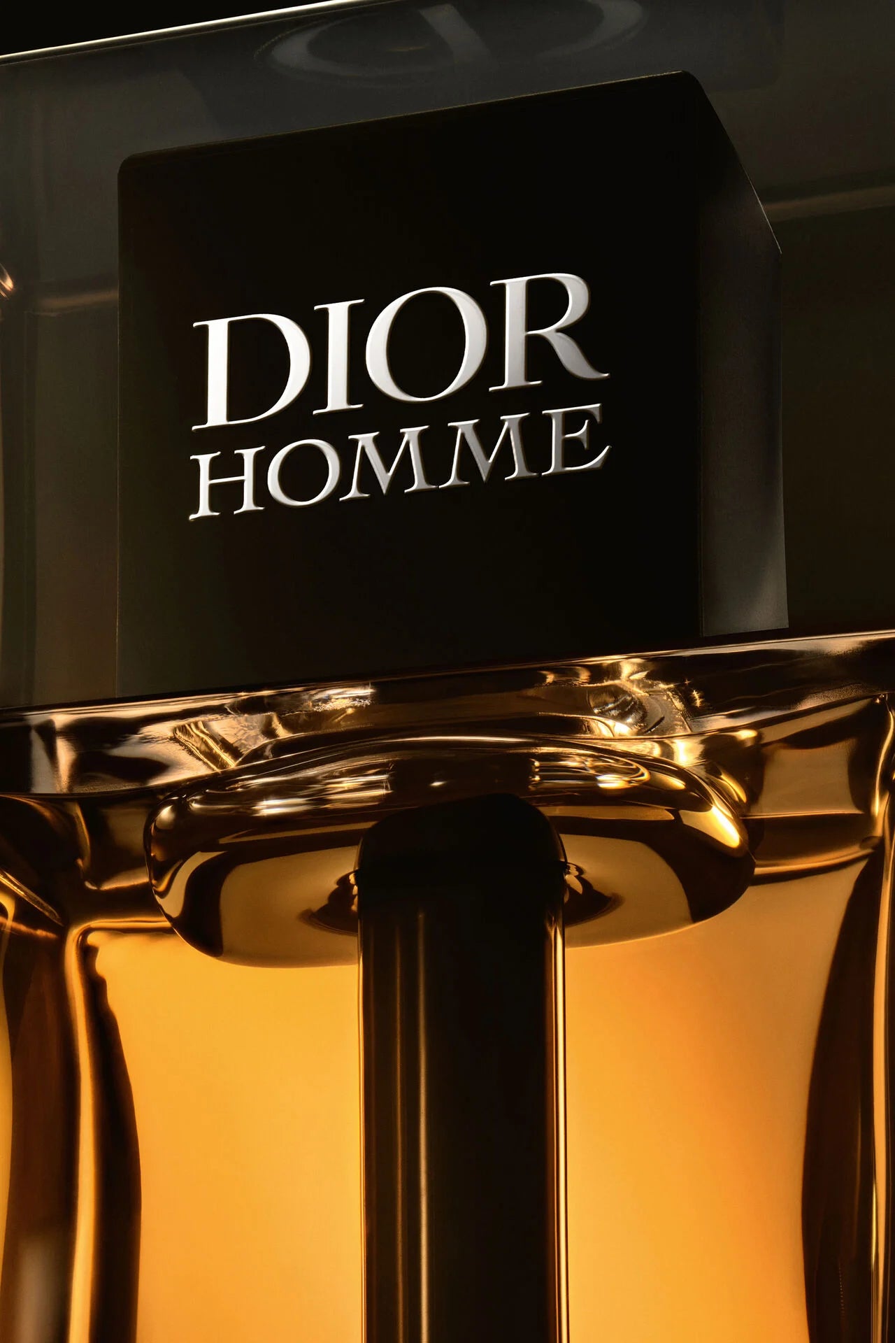 Dior Homme Intense