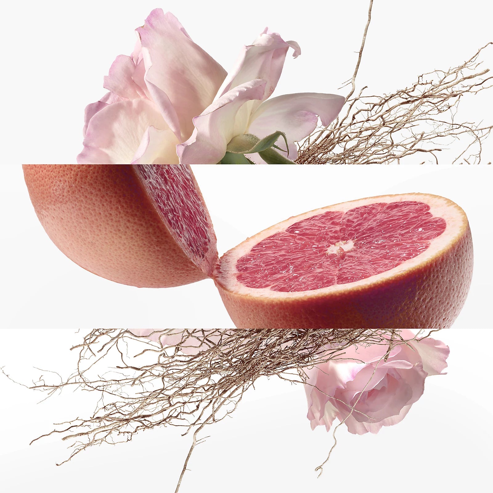 Concentre de pamplemousse rose Eau de toilette