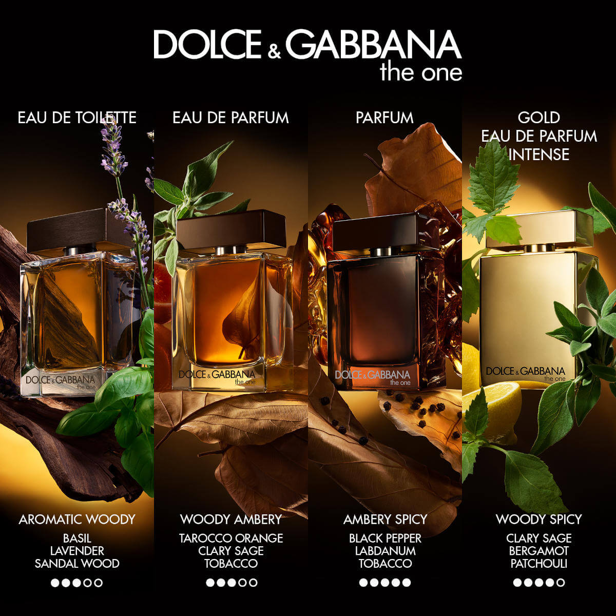 DOLCE &GABBANA POUR HOMME PARFUM EDP