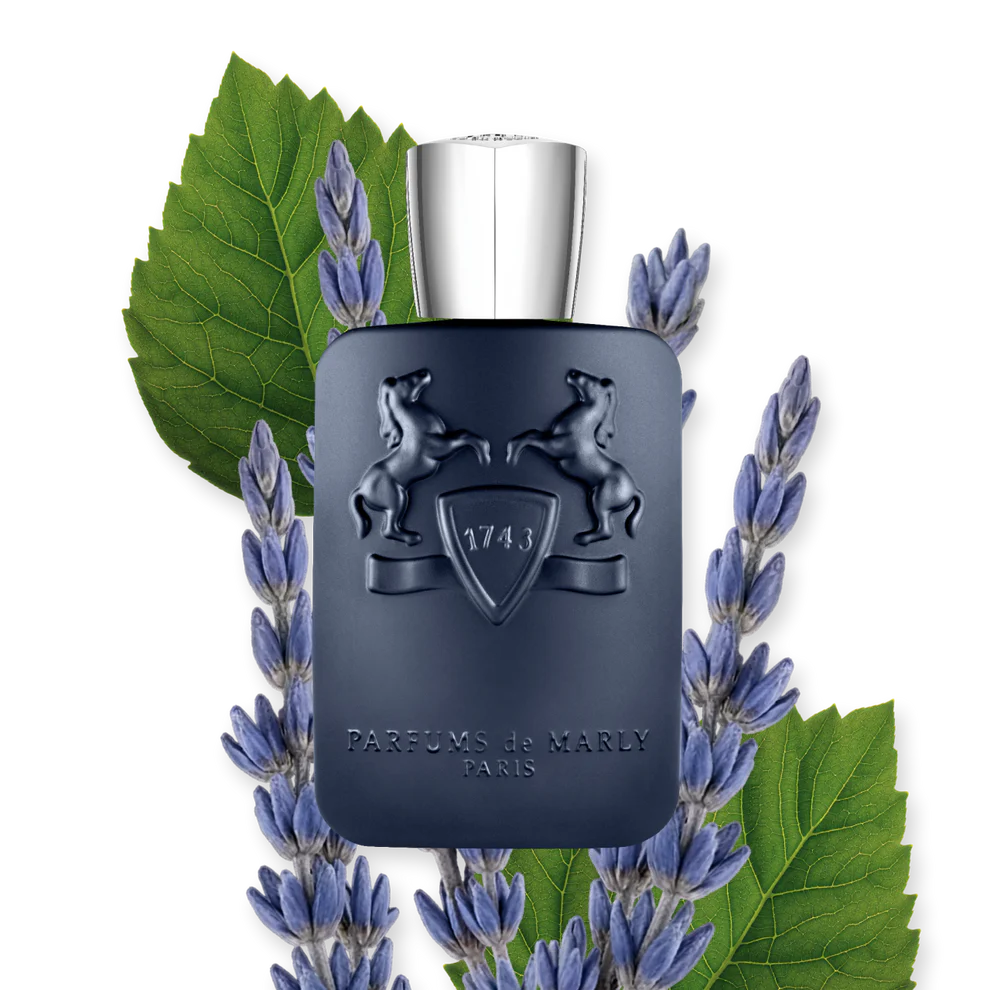 LAYTON 75 ML