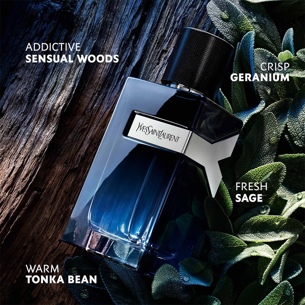 YVES SAINT LAURENT Y EDP